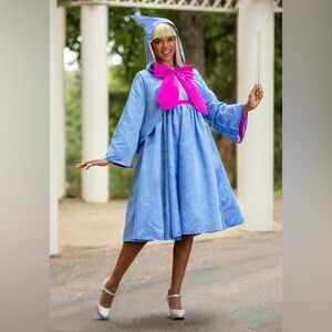 Disney Blue and Pink Fairy Godmother Costume